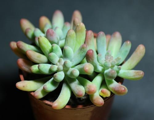 ÎÒ¹ú½¨Á¢·¿µØ²ú´û¿î¼¯ÖжȹÜÀíÖÆ¶È ÒâÒåºÎÔÚ£¿