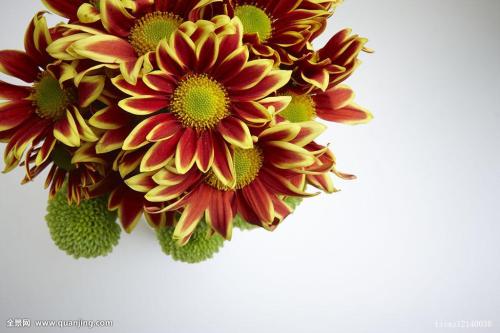 ɽ̨ոְѧת취תÿ 11ʩ