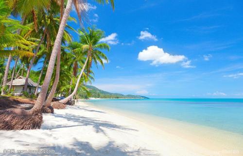 ÁÉÄþÊ¡¿ªÔÊз¢ÉúÒ»Æð³Öµ¶É±È˰¸Ôì³É7ËÀ7ÉË