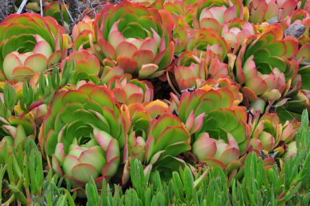 ɽһС5δůνģ31չů