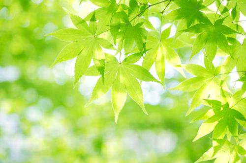 Ó¡¶È·¢ÏÖ6Ãû´ÓÓ¢¹ú·µ»ØÈËԱΪ±äÒìйڲ¡¶¾¸ÐȾÕß