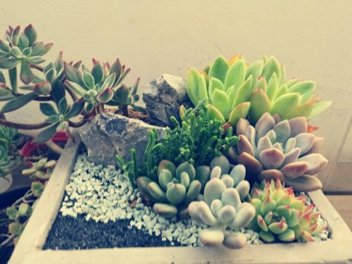 Сѧʱż ׶԰Ԫʱͣ԰